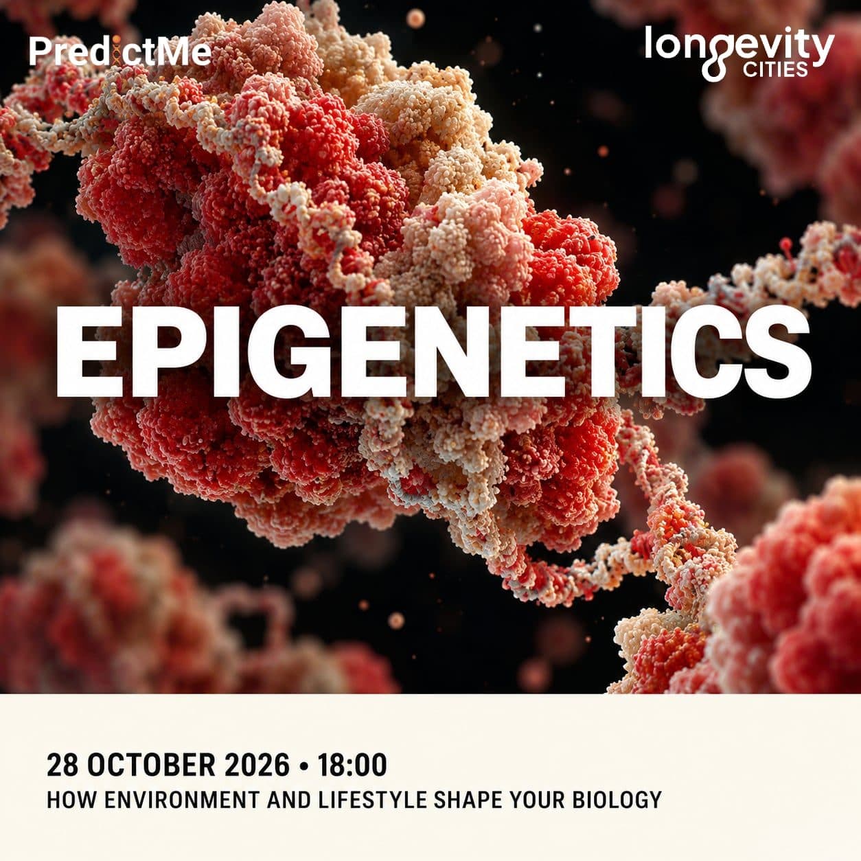 Epigenetics – How environment and lifestyle shape your biology