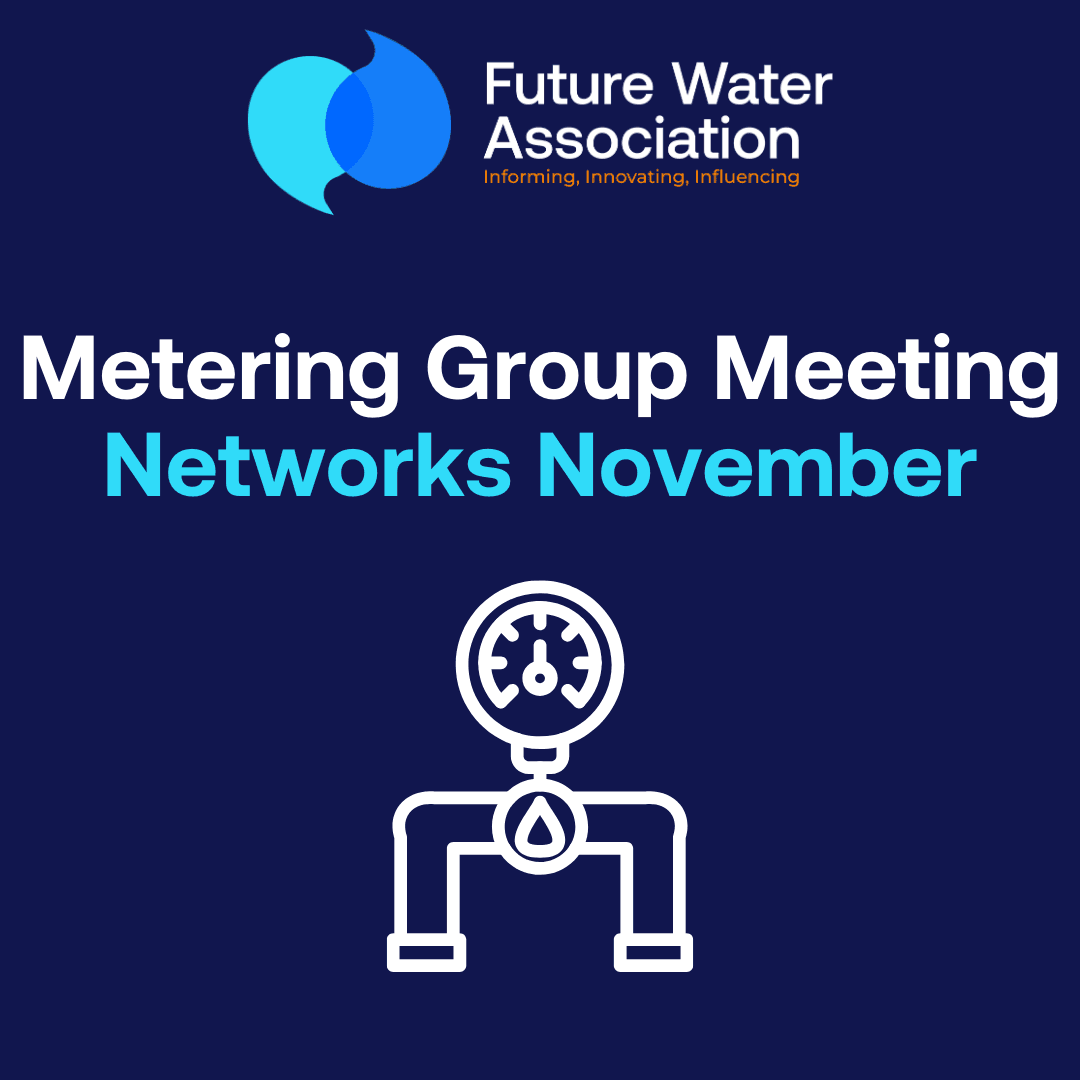 Metering - Networks November